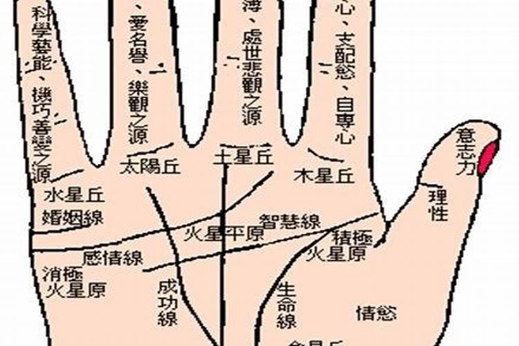 怎么手掌纹路婚姻不顺