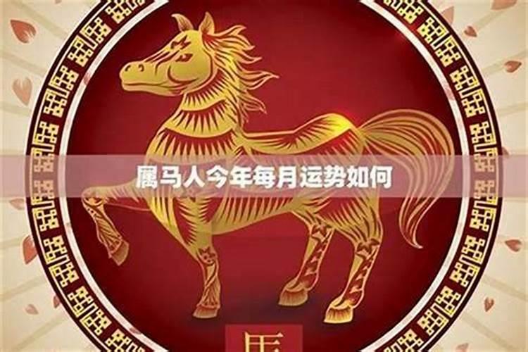 78年的女马和什么属相相配最好