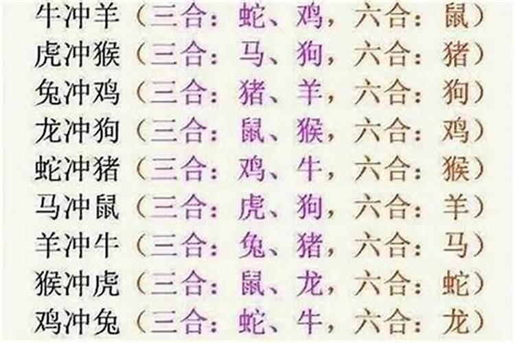 八字合冲的意思是什么生肖