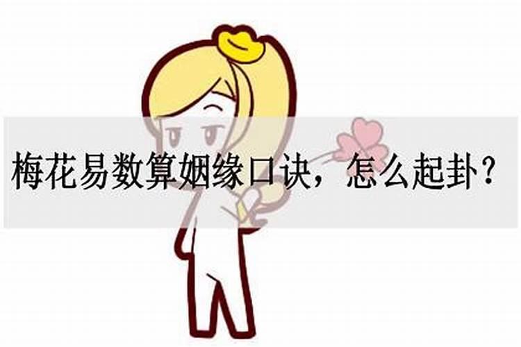 梅花易数算姻缘怎么起卦