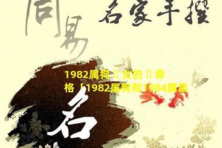 1982年7月23日出生的人是什么命