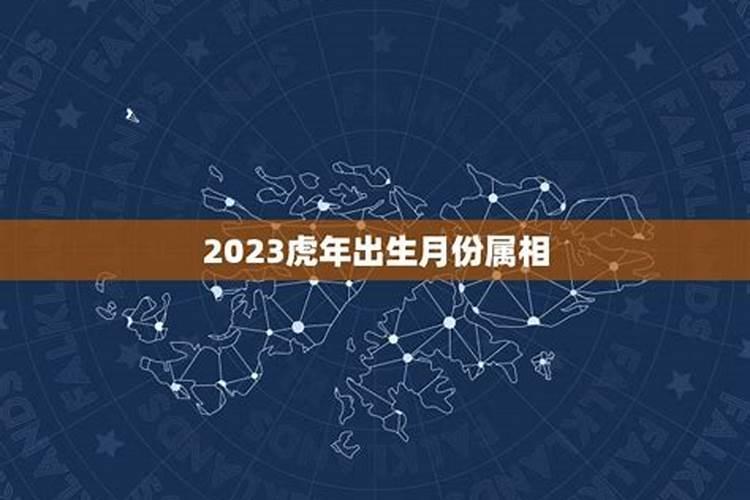 2023年虎年月份属相