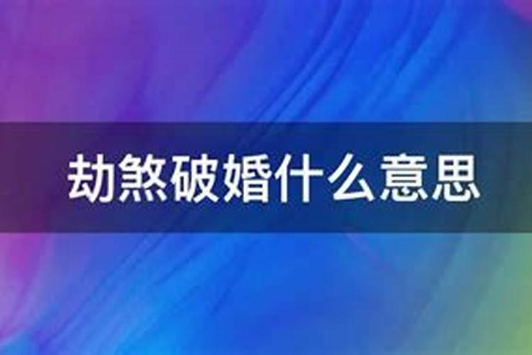 属牛和属狗合不合得来