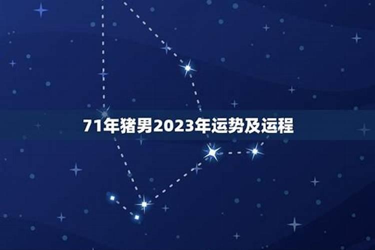 71年的猪2023年的运势及运程