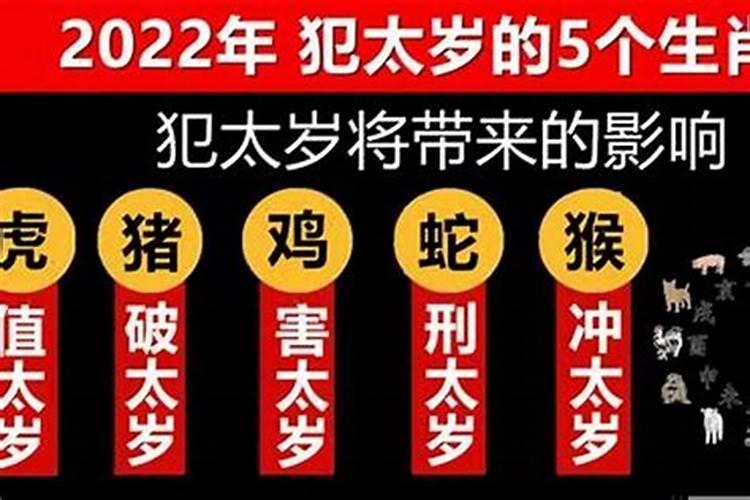 属马今年犯太岁吗2022