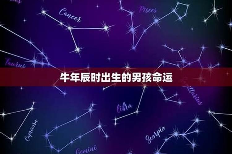 97年农历二月的牛是什么星座