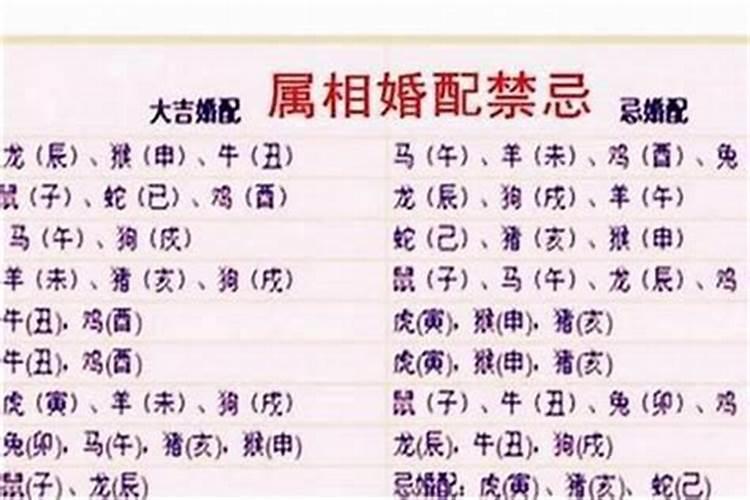 八字命理十神意象大全