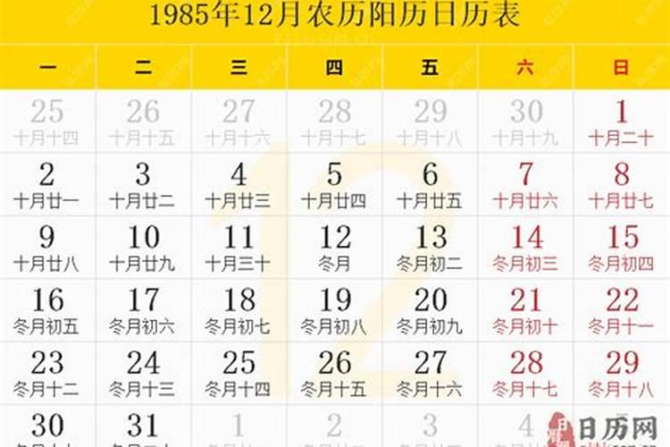 1985年6月11日那天的阳历