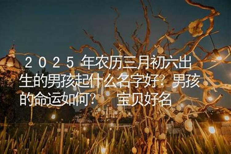 纳音屋上土命是什么意思