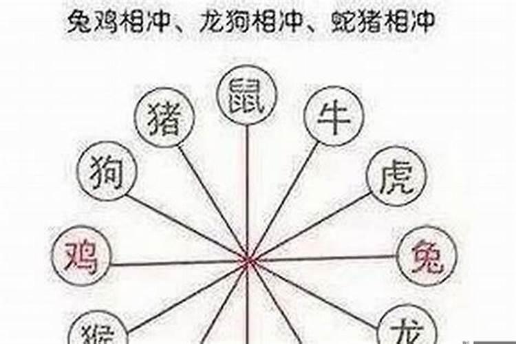 合八字说会离婚真的会离吗