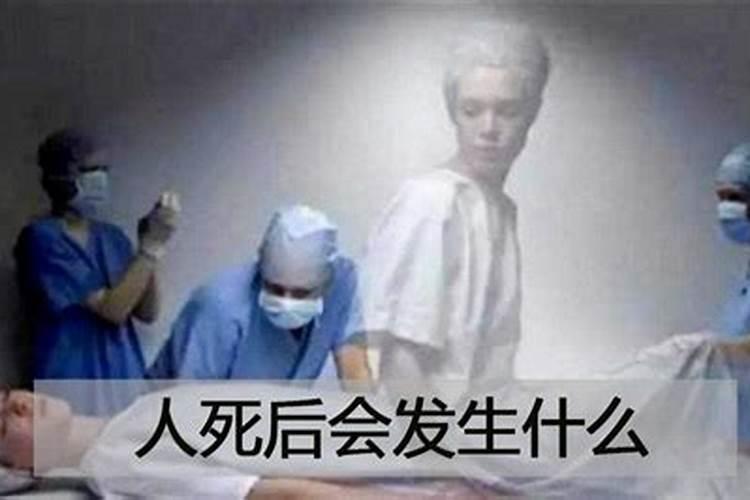 人死后为什么会尸僵