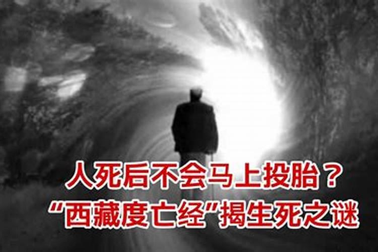 求问人死后多久会投胎转世