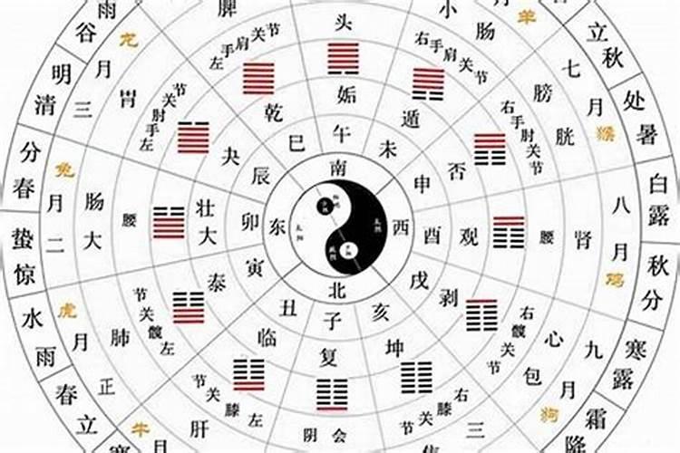 天干，地支是指什么？