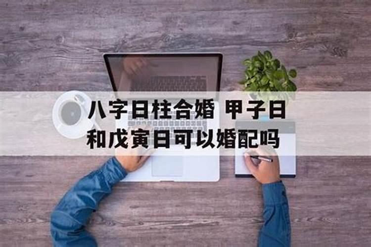 生肖运势2023年运势大全每月