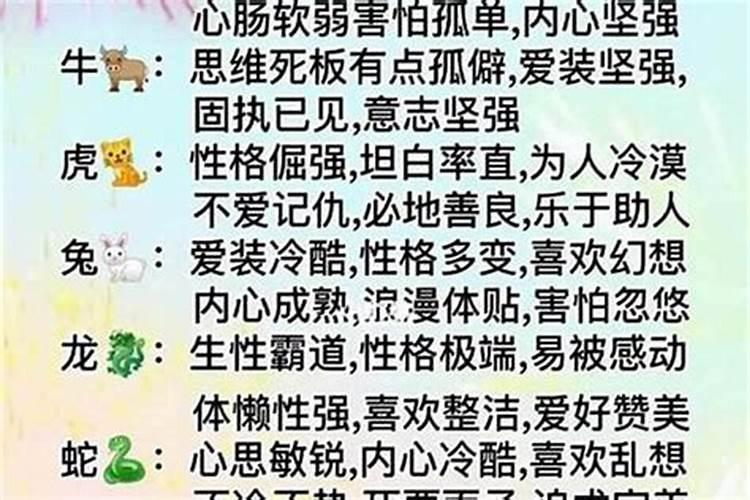 生肖的小人是什么意思