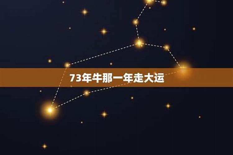 73年的牛哪年走大运