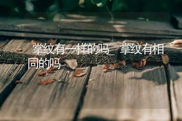 圈桃花和招桃花有什么区别