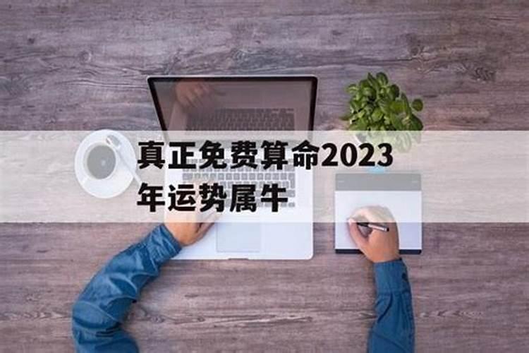 2023年本命年换工作合适