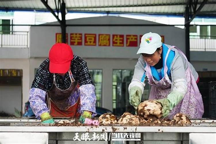 属鸡和属鸡的婚姻如何