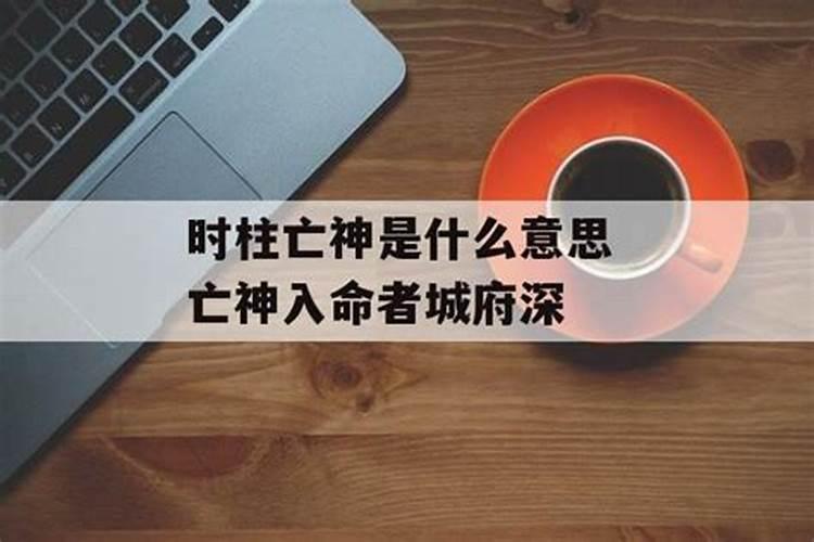 本命年的人财运怎么样呢