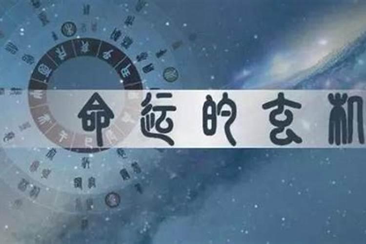 老公宠的八字