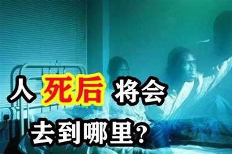 人死后到底会不会投胎