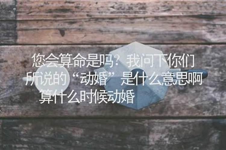 算命的说我动婚了是什么意思