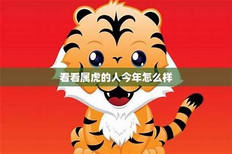 属虎人2022本命年运势怎么样呢