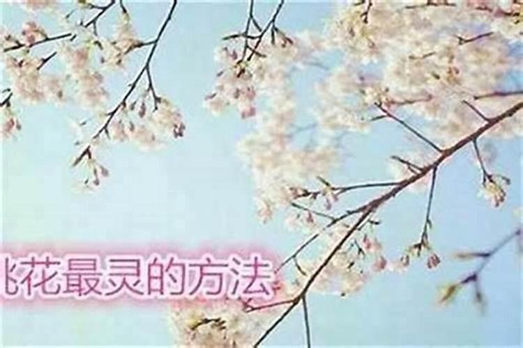 男女生辰八字测婚期准不准