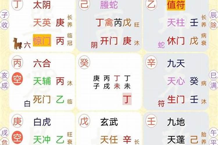 今年一边找工作，一边打算考公，八字排盘看事业运如何？