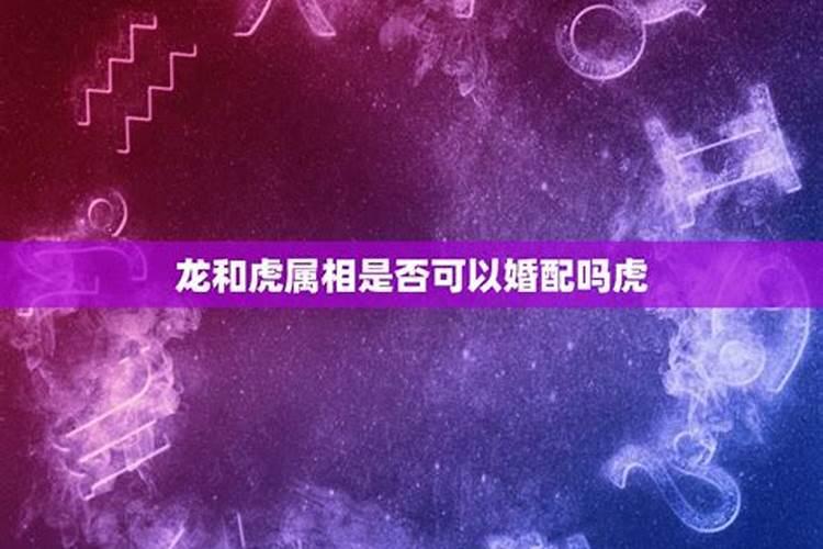 2023属兔的人犯太岁吗为什么