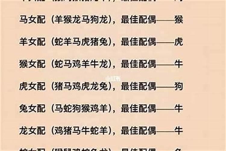 婚姻八字哪些生肖最相配