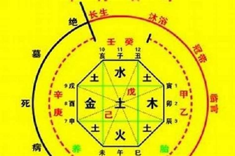 风水师会看八字吗