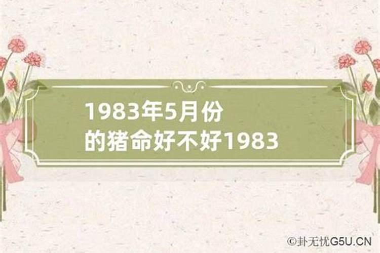 1983年属猪人的命运详解