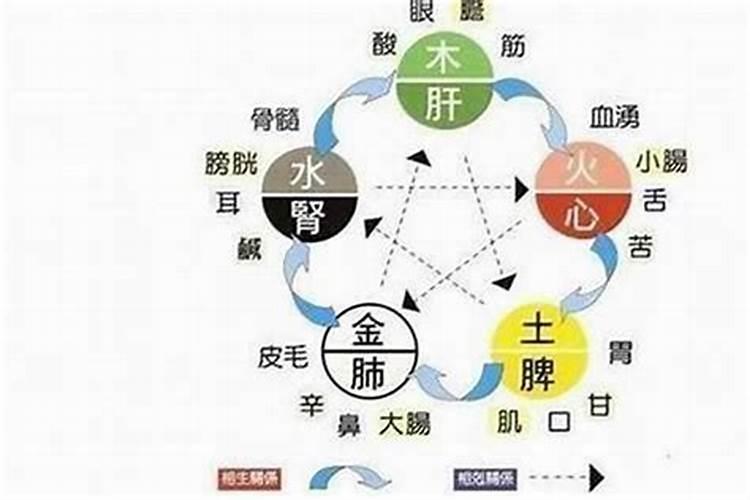 属牛人本命年犯太岁吗