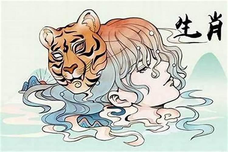 马和猪的属相合吗