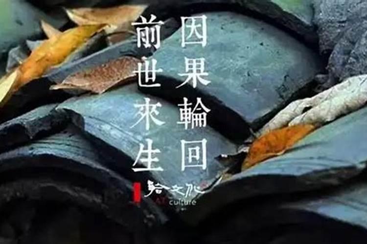 八字巳与什么合