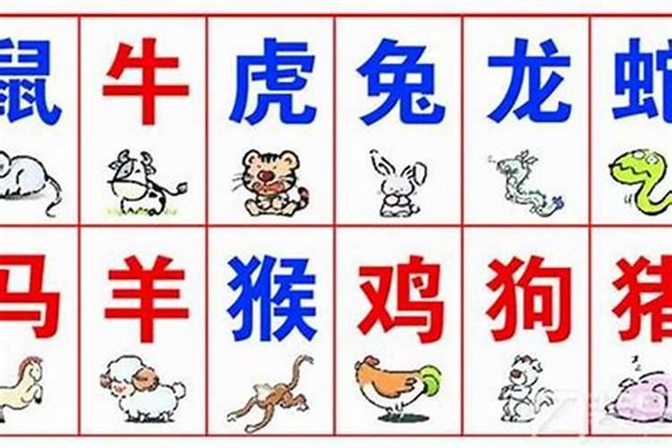 生肖合八字不合怎么办