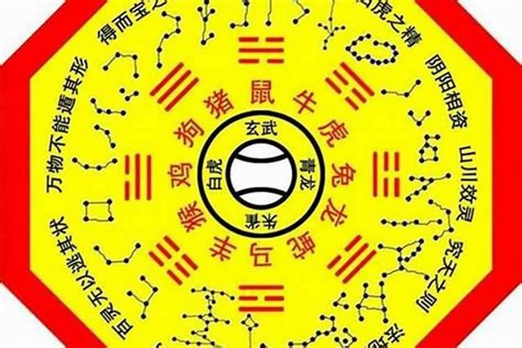 八字里的将星是什么意思？