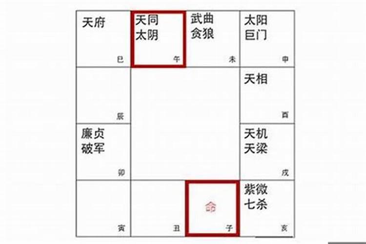 八字里的将星是什么意思？