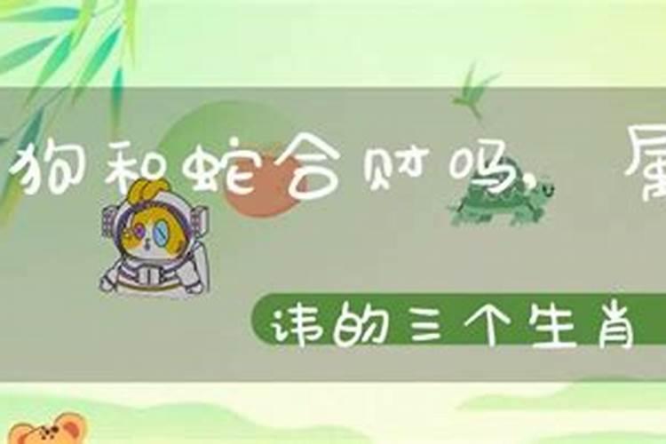 属狗和属蛇八字合吗