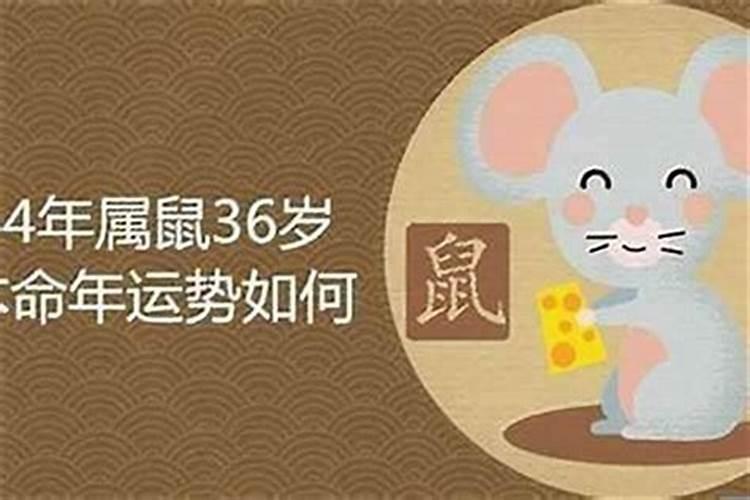 96年属鼠农历二月出生的命运