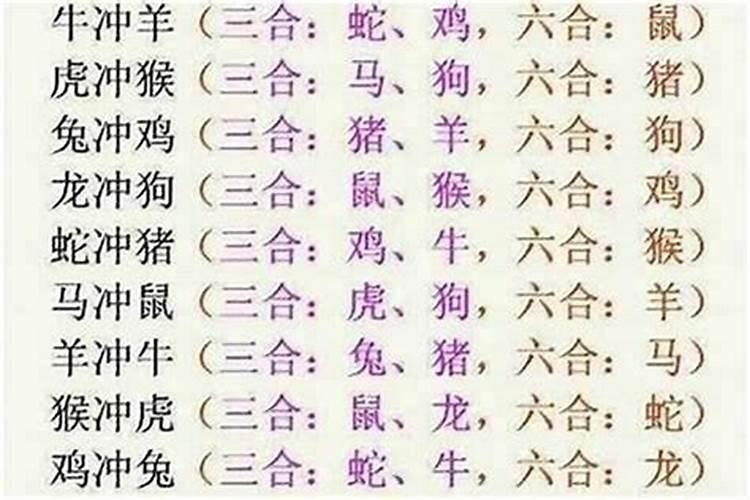 合八生肖合八字什么肖