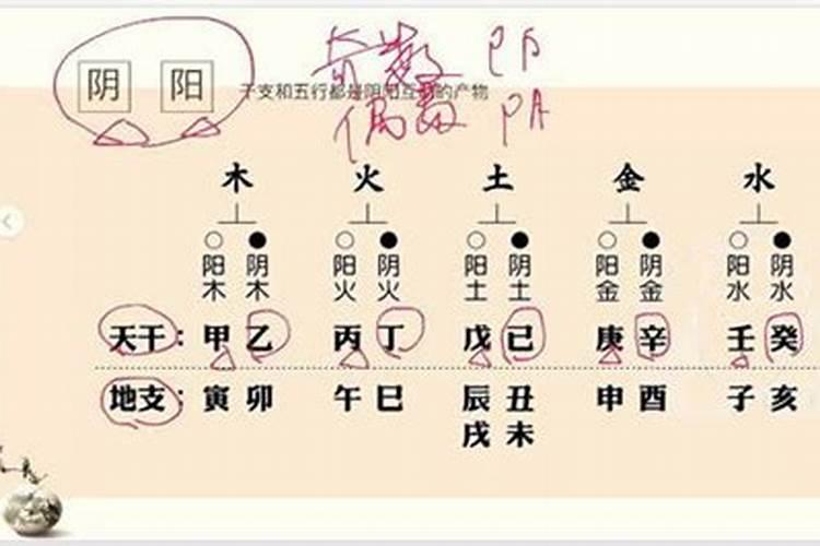 童子命可以上大学吗