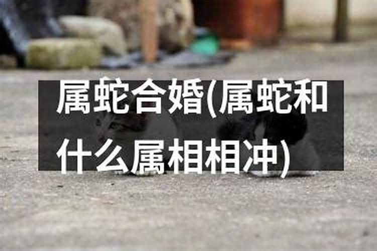 八字平和格局怎样看婚姻