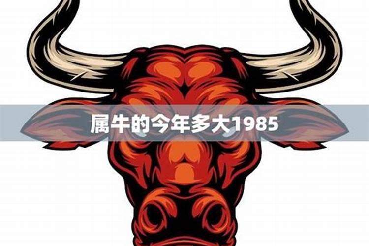 1985年属牛的人今年运势