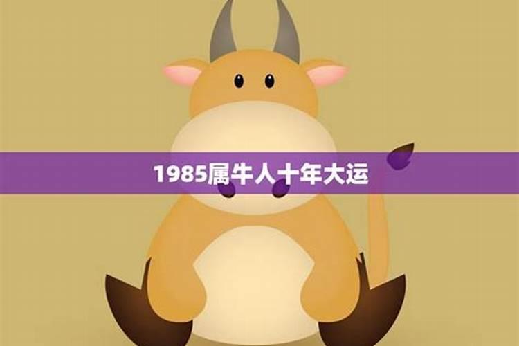 1985年属牛的人今年运势