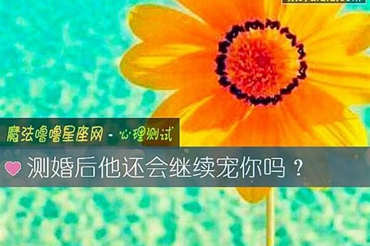 运气测试2022免费