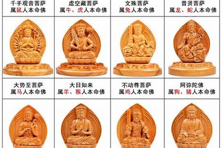 佛教的八大守护神是谁？他们都分管什么