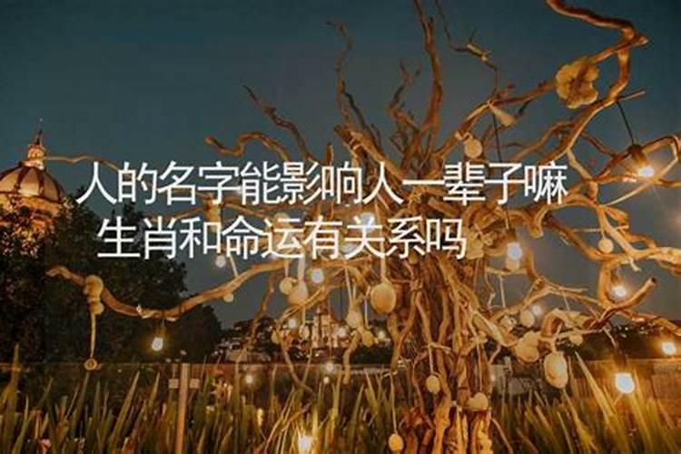 人的姓名真的和命运有关吗知乎